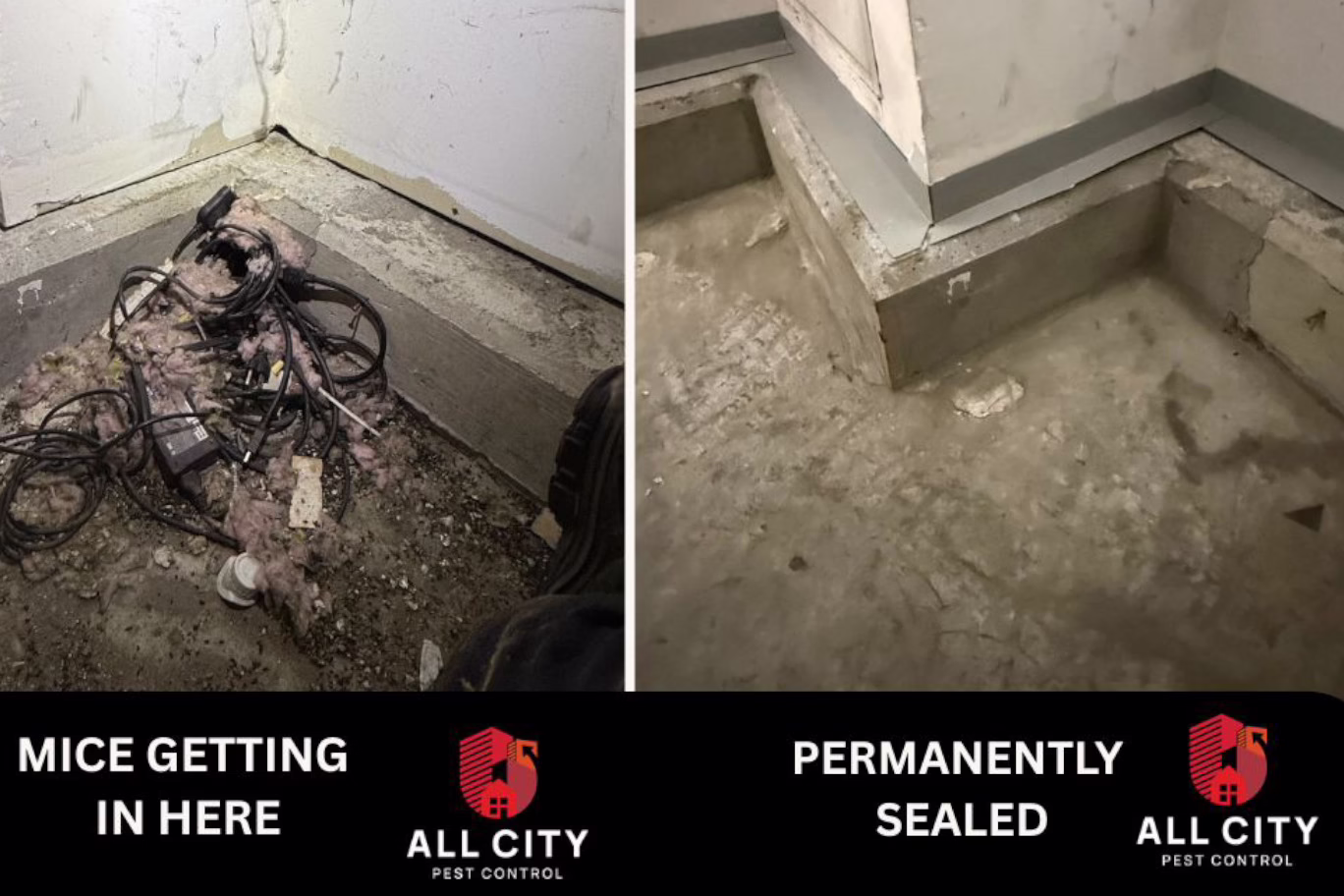 Pest Control Warehouse, Vancouver